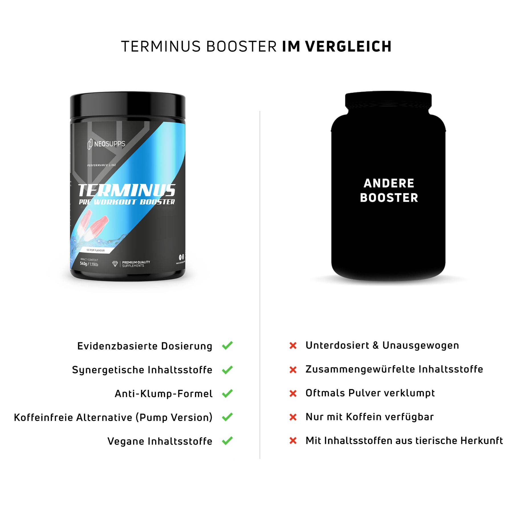 Terminus Booster - Ice Pop, 540g