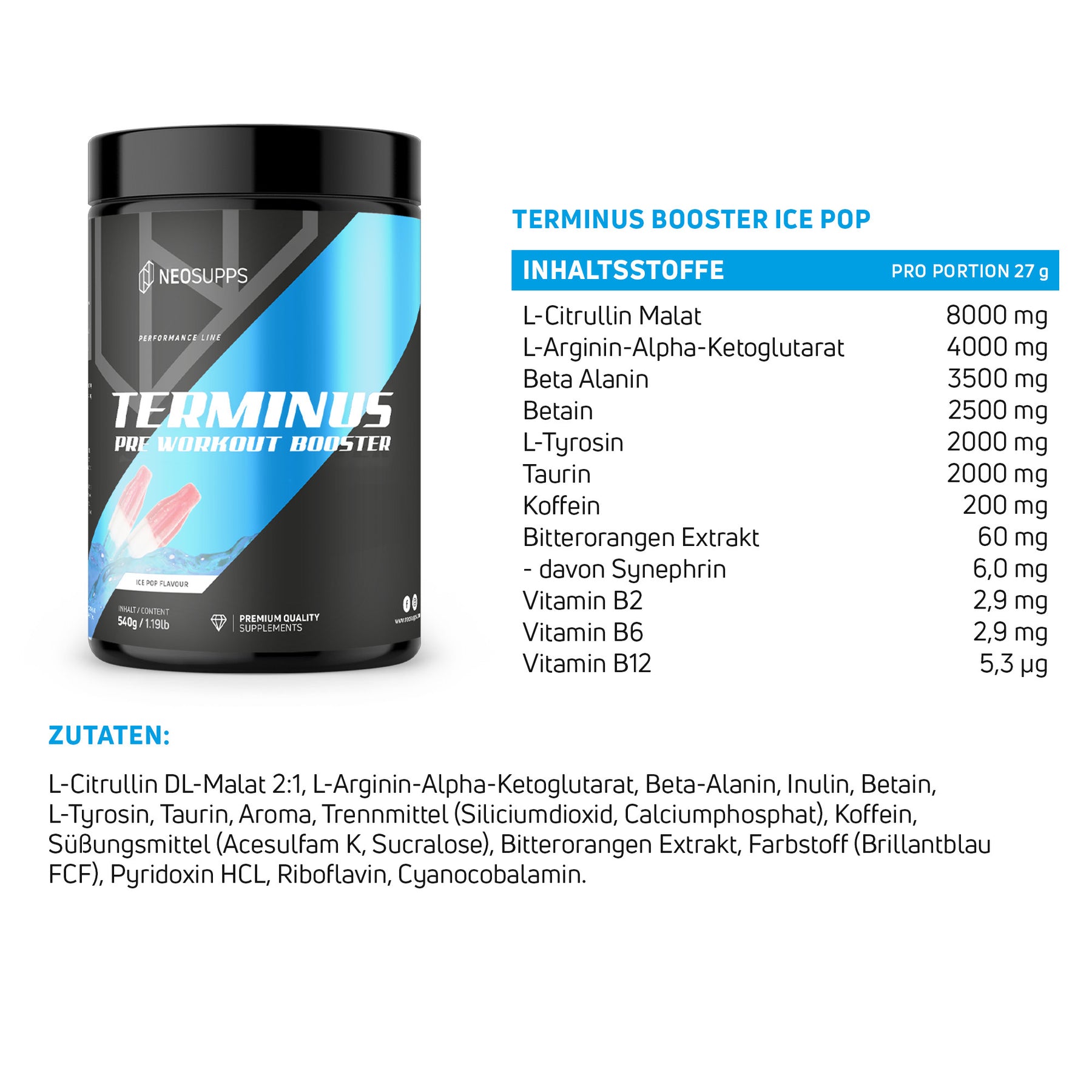 Terminus Booster - Ice Pop, 540g