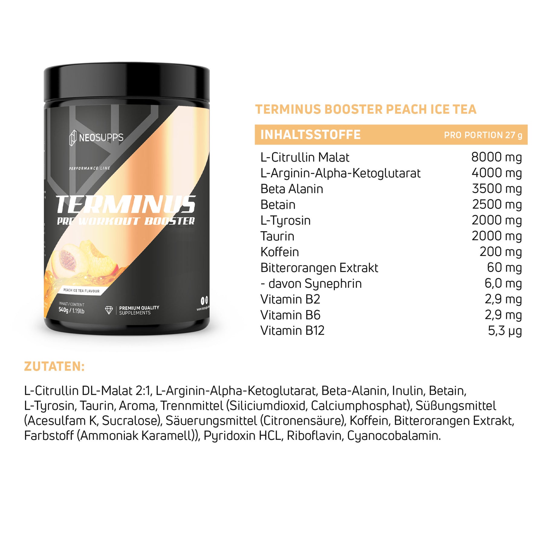 Terminus Booster - Peach Ice Tea, 540g