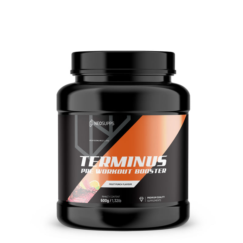 Terminus Booster - Fruit Punch, 600g