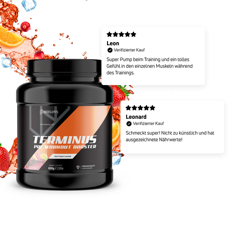 Terminus Booster - Fruit Punch, 600g