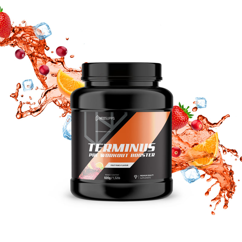 Terminus Booster - Fruit Punch, 600g