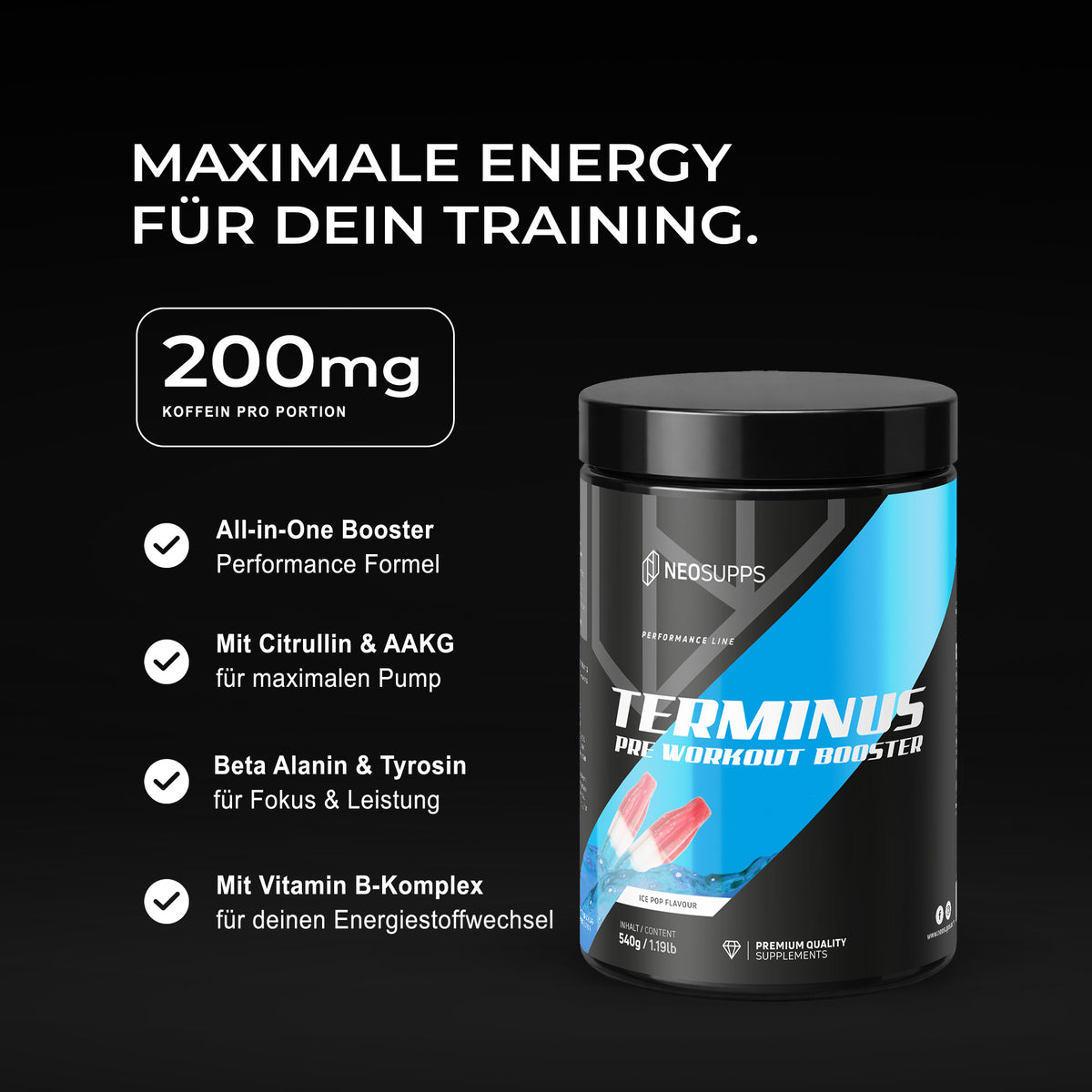 Terminus Booster - Ice Pop, 540g