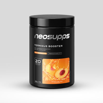 Terminus Booster - Peach Ice Tea, 540g