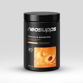 Terminus Booster - Peach Ice Tea, 540g