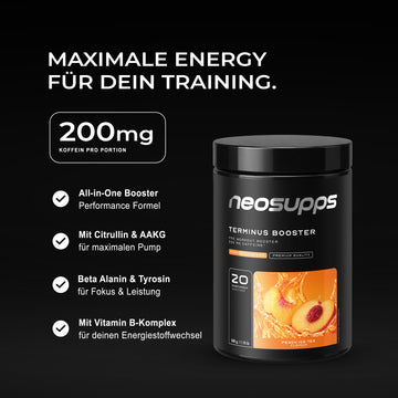 Terminus Booster - Peach Ice Tea, 540g