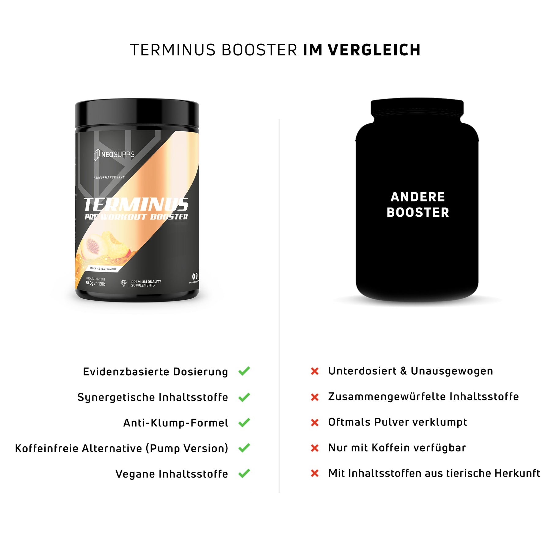 Terminus Booster - Peach Ice Tea, 540g