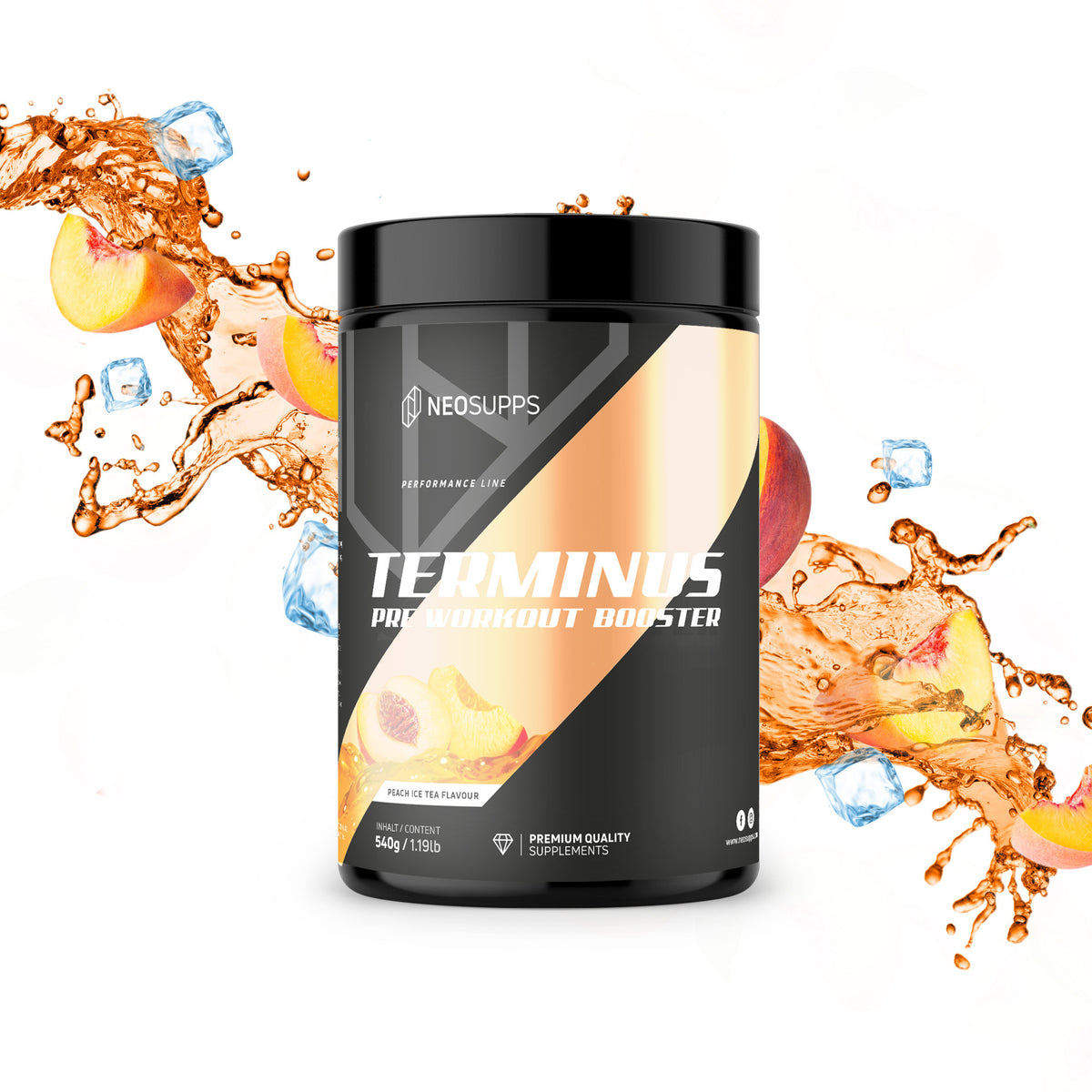 Terminus Booster - Peach Ice Tea, 540g
