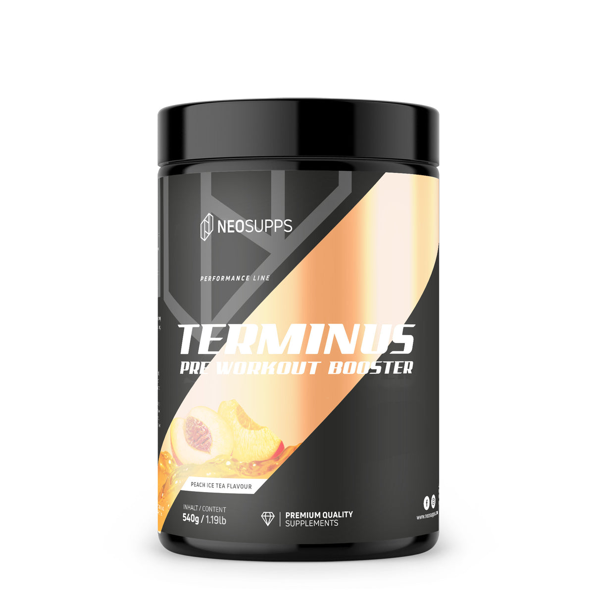 Terminus Booster - Peach Ice Tea, 540g
