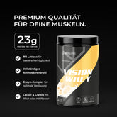 Vision Whey - Banana Milk, 750g