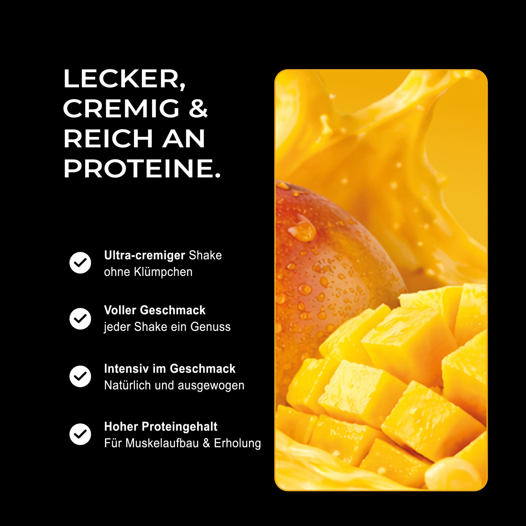 Vision Whey - Mango Lassi, 750g