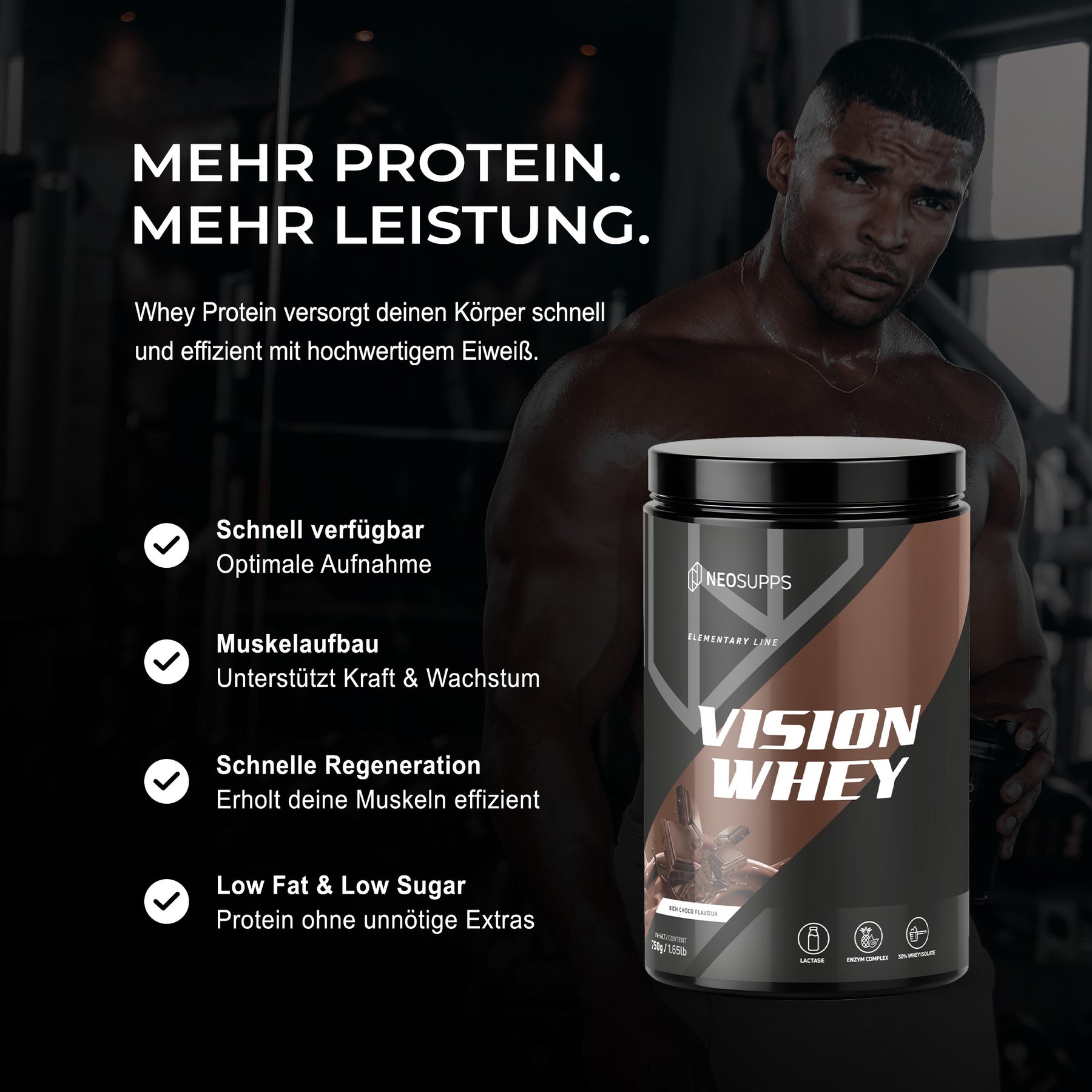 Vision Whey - Rich Choco, 750g