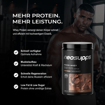 Vision Whey - Rich Choco, 750g